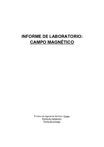 INFORME-CAMPO-MAGNETICO.pdf
