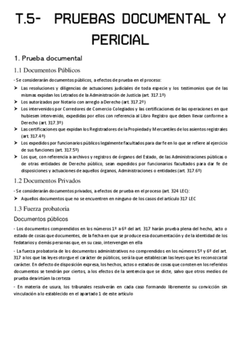 T.5-PRUEBAS-DOCUMENTAL-Y-PERICIAL.pdf