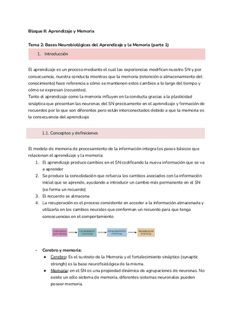 Fisiologia-tema-2.pdf