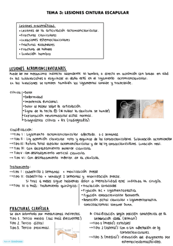 Tema-3.-Lesiones-en-la-cintura-escapular.pdf