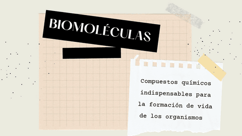 Biomoleculas.pdf