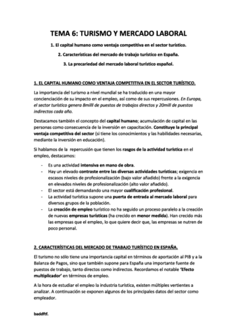 TEMA 6 - Turismo y mercado laboral..pdf