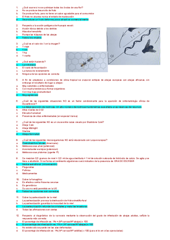 examen-acui-y-api-corregido.pdf
