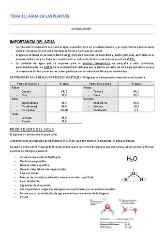 TEMA-11-Apuntes.pdf