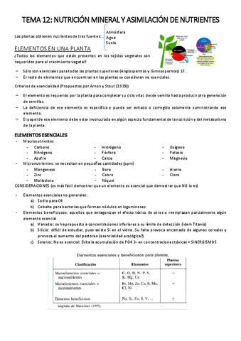 TEMA-12-Apuntes.pdf