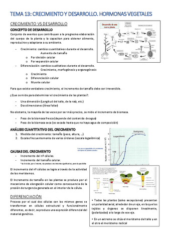 Tema-13-Apuntes.pdf