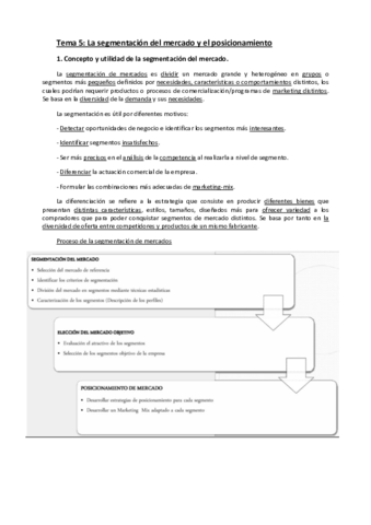 Tema 5 La segmentacion de mercados y su posicionamiento.pdf