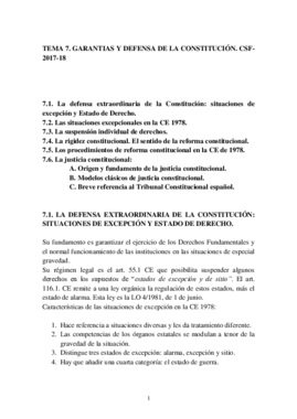 tema 7 consti.pdf