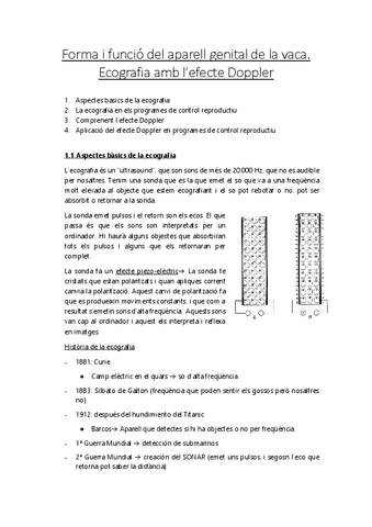 Aspectes-basics-de-la-ecografia.pdf