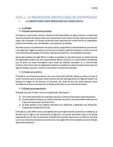 CONSTITUCIONAL-III-Camila.pdf