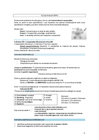 T1-2.-pacient-critic.pdf
