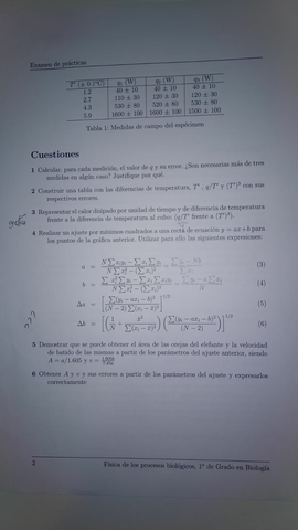 WhatsApp Image 2018-05-28 at 16.37.30.jpeg