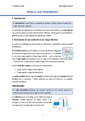TEMA-4.-Electroforesis..pdf