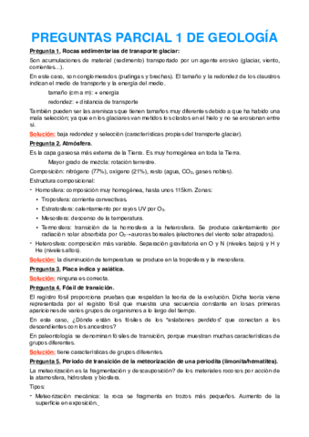 Preguntas examen.pdf