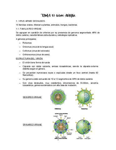 TEMA-17-VIROLOGIA.pdf