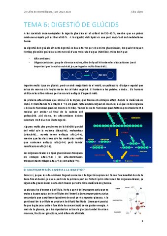 Tema-6.-Digestio-de-glucids.pdf