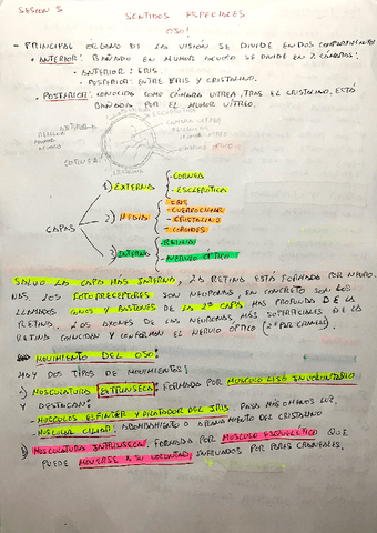 fisiologia-apuntes.pdf