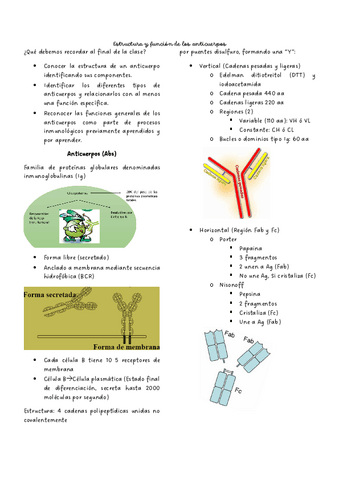 Estruc-y-funcion-de-anticuerpos.pdf