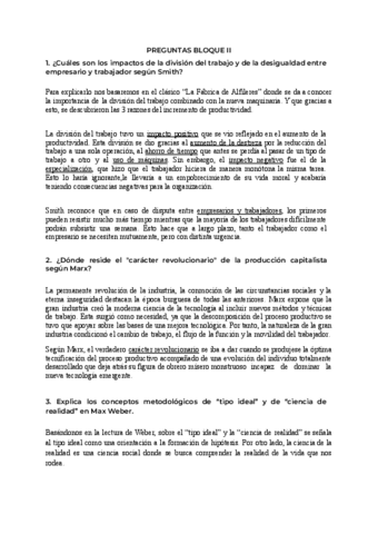 PREGUNTAS-B.II-TEORIAS.pdf