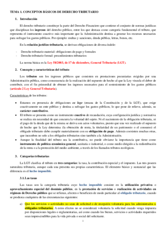 TEMARIO MÁS AMPLIO (TEMAS 1 Y 2- IRPF E IS).pdf