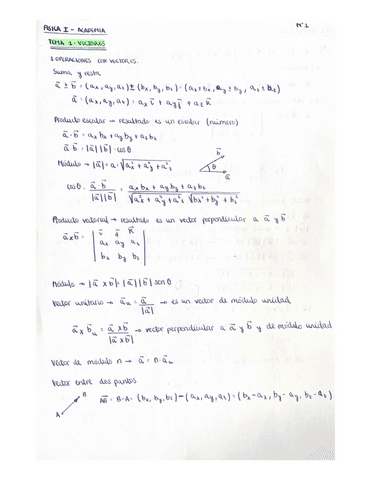 Apuntesejercicios-T1-Vectores-Fisica-I.pdf