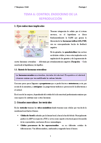 TEMA-6.-Control-endocrino-de-la-reproduccion..pdf