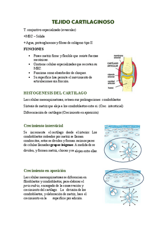 TEJIDO-CARTILAGINOSO.pdf