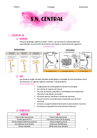 TEMA-4-SNC.pdf