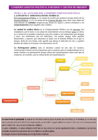 COMPORTAMIENTO-POLITICO-TEMAS-1-3.pdf