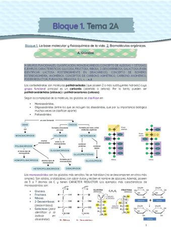 Bloque-1-T.-2A-Glucidos.pdf