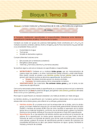Bloque-1-T.-2B-Lipidos.pdf
