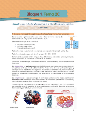 Bloque-1-T.-2C-Proteinas.pdf