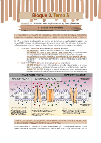 Bloque-2-T.-3-Fisiologia-de-membrana.pdf