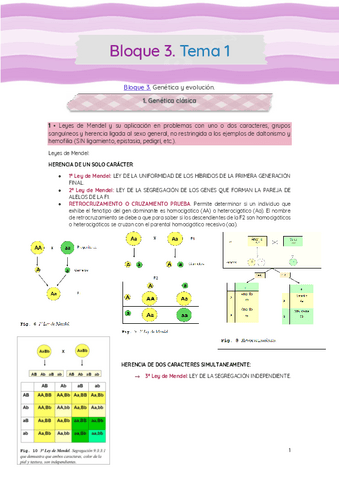 Bloque-3-T.-1-Genetica-clasica.pdf