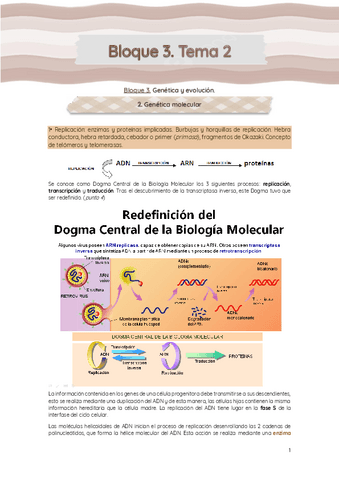 Bloque-3-T.-2-Genetica-molecular.pdf
