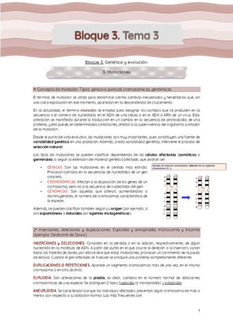 Bloque-3-T.-3-Mutaciones.pdf