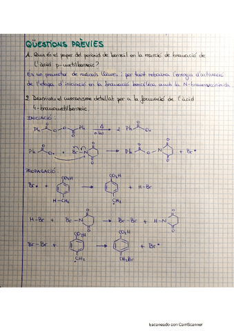 previes-practica-2.pdf