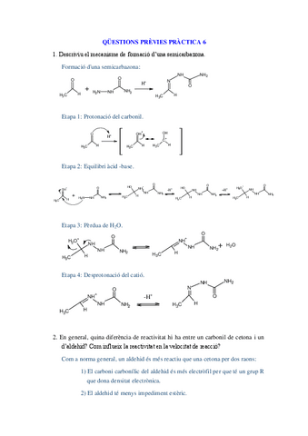 previes-practica-6.pdf