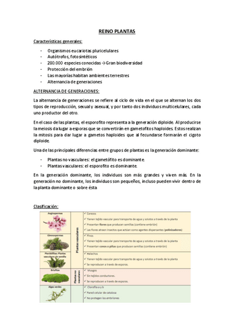 T05.-Reino-Plantas.pdf