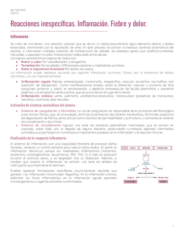 PAR1Tema-5-Reacciones-inespecificas.pdf