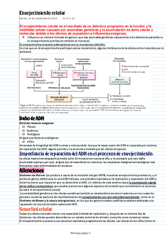 envejecimiento-celular.pdf