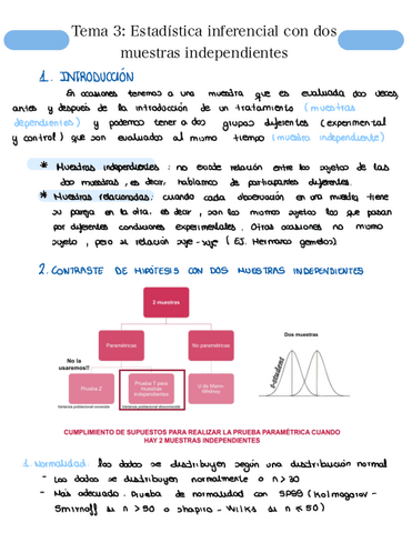 Tema.-3-Analisis.pdf