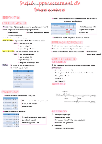 Apunts-Gestio-i-processament-de-transaccions.pdf