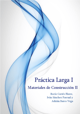 Practica-Larga-1.pdf