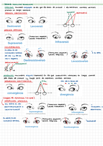 TEMA-3.-motilitat-binocular.pdf