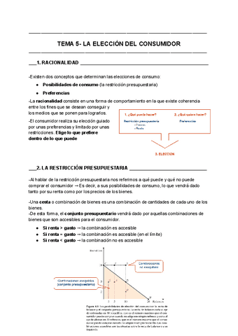 tema-5microeconomia.pdf