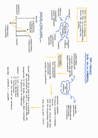 PF1-T2.pdf