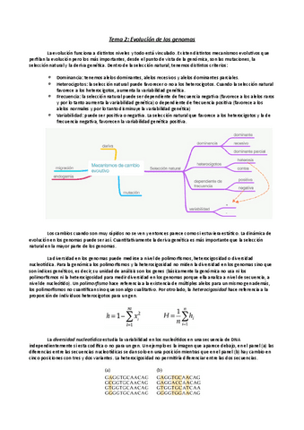 Tema-2-Genomica-Felipe.pdf