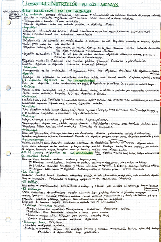 Apuntes-bio-11-12.pdf
