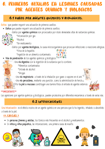 Tema-6-Paux-en-lesiones-causadas-por-agentes-quimicos-y-biologicos.pdf